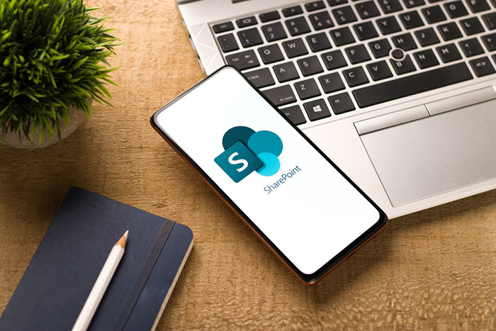 Driving Adoption of SharePoint Across 21 European Markets